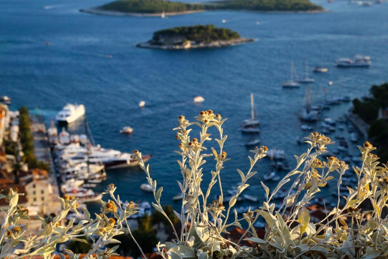 Feelhvar Along Bluelagoon Beach Hvar Town Exterior foto